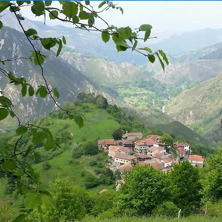 Vis 101 Bed & Breakfast Vista  Екстериор снимка