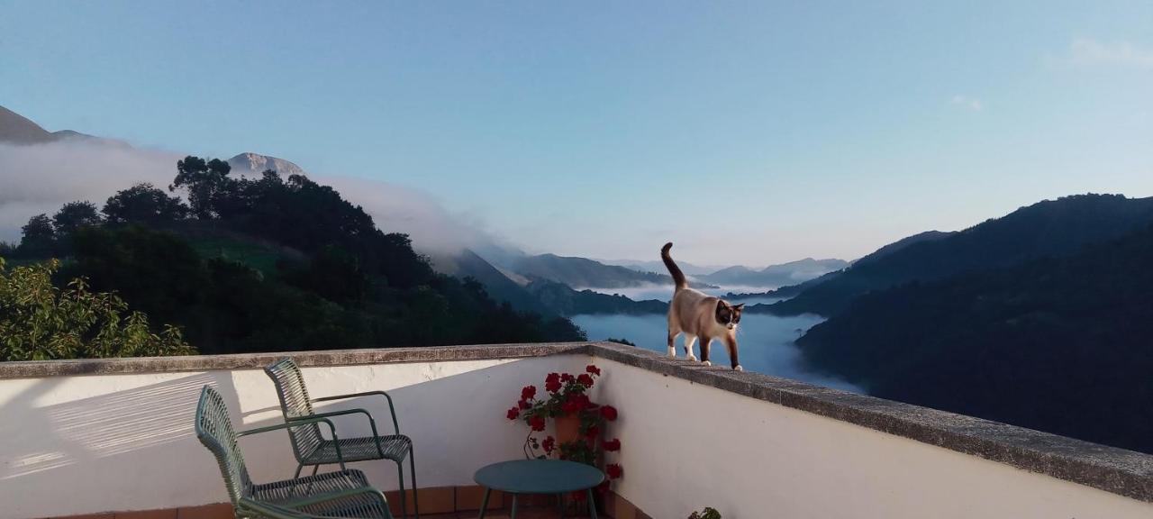 Vis 101 Bed & Breakfast Vista  Екстериор снимка