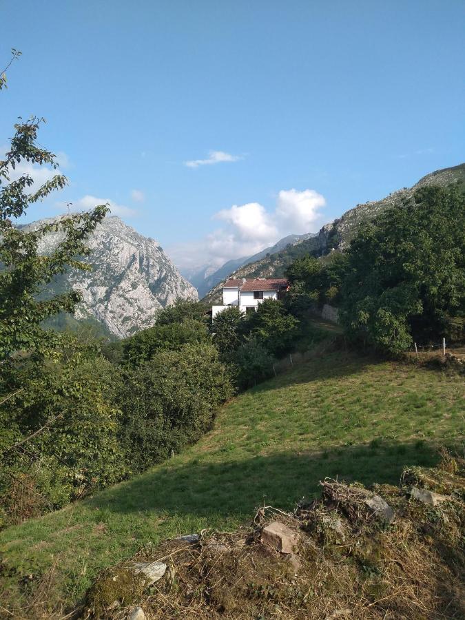 Vis 101 Bed & Breakfast Vista  Екстериор снимка