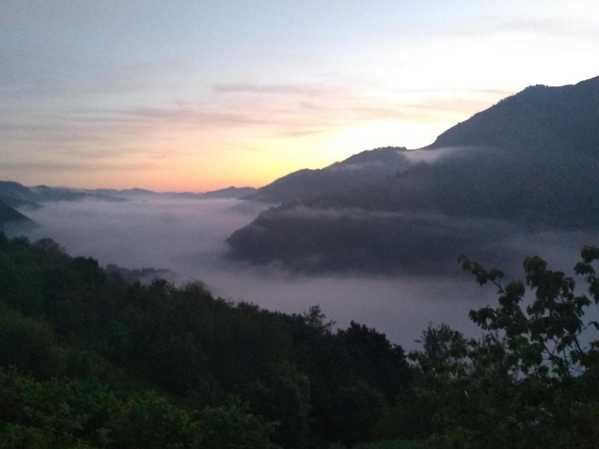 Vis 101 Bed & Breakfast Vista  Екстериор снимка