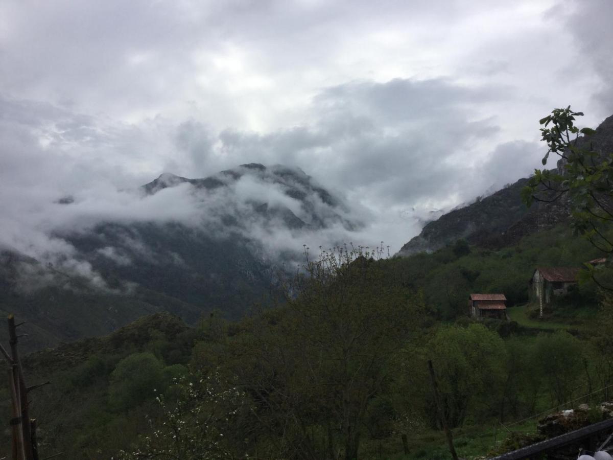 Vis 101 Bed & Breakfast Vista  Екстериор снимка