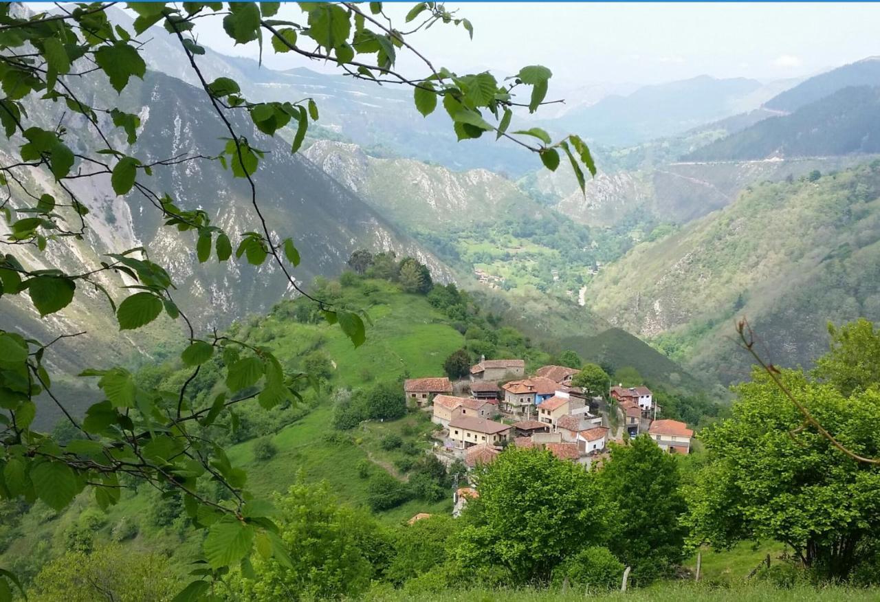 Vis 101 Bed & Breakfast Vista  Екстериор снимка