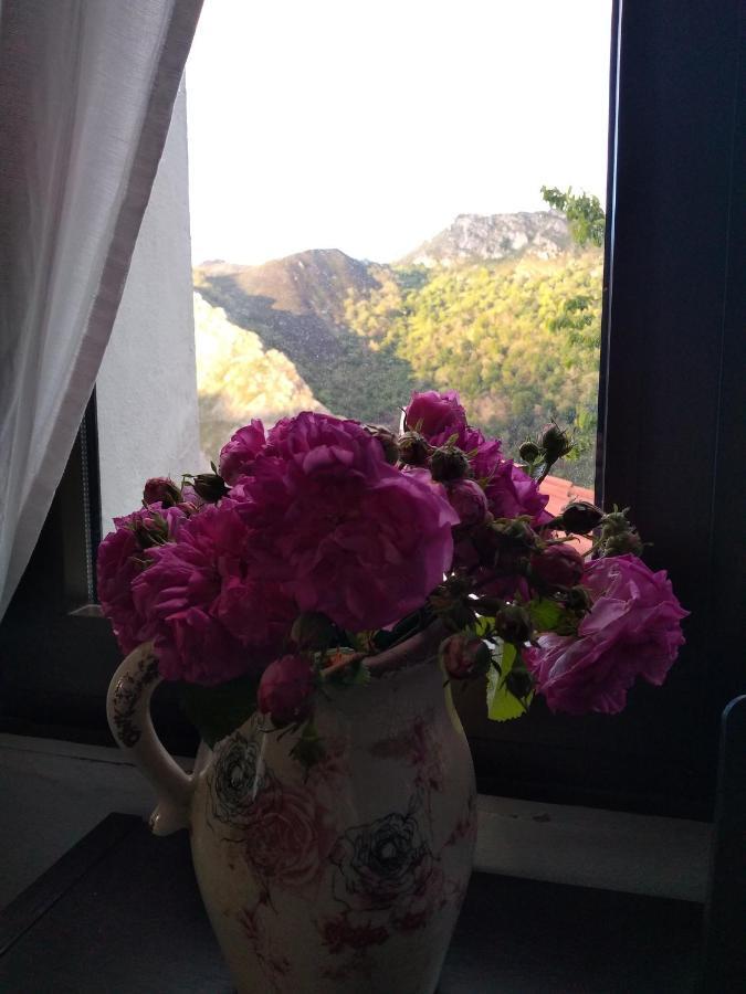 Vis 101 Bed & Breakfast Vista  Екстериор снимка